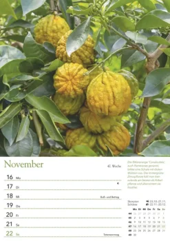 Neumann Verlage GmbH & Co Wochenkalender-Ein Jahr in meinem Garten - Wochenkalender 2026 - Garten-Kalender mit 53 Blatt - Format 21,0 x 29,7 cm - Spiralbindung