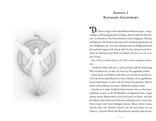 FeuerTanz-Verlag Esoterische Thriller*Ein Pakt aus Asche und Blut - Sonderausgabe