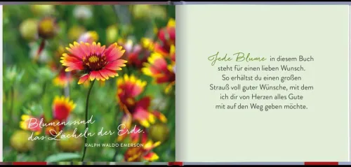 Groh Verlag Glück & Wünsche*Ein Strauß voll guter Wünsche