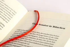 DVA Dt.Verlags-Anstalt Literatur & Kunst*Ein tadelloses Glück