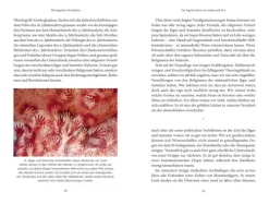 DVA Dt.Verlags-Anstalt Geschichte|Geschichte-Eine kurze Geschichte der Menschheit