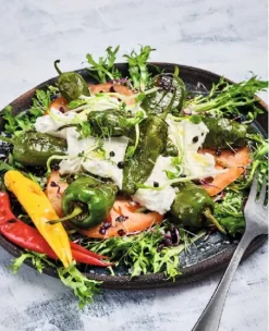 Heel Verlag GmbH Grillparty & Picknick*Einfach genial grillen - Vegetarisch