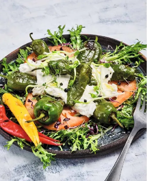 Heel Verlag GmbH Grillparty & Picknick*Einfach genial grillen - Vegetarisch