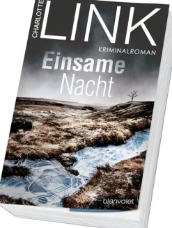 Blanvalet Taschenbuchverl Weibliche Ermittler|Krimis-Einsame Nacht