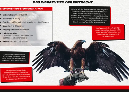 Panini Verlags GmbH Freundebücher-Eintracht Frankfurt: Meine Freunde - Das offizielle Eintracht Frankfurt Freundebuch