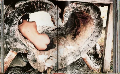 Taschen GmbH Künstler:Innen Im Fokus-Ellen von Unwerth. Heimat