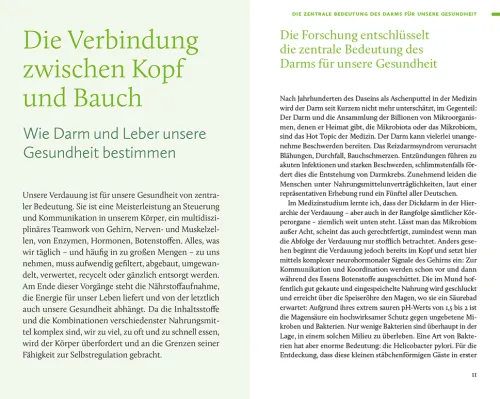 Ernährung. Meine Quintessenz*Insel Verlag GmbH Sale