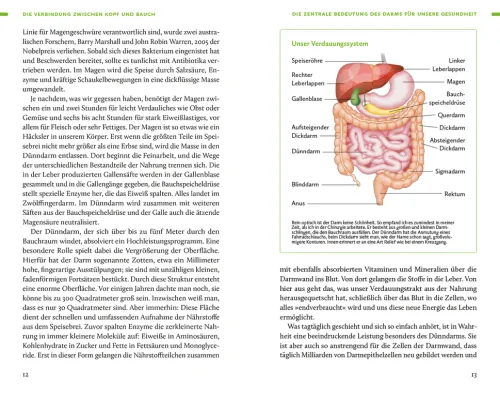 Ernährung. Meine Quintessenz*Insel Verlag GmbH Sale
