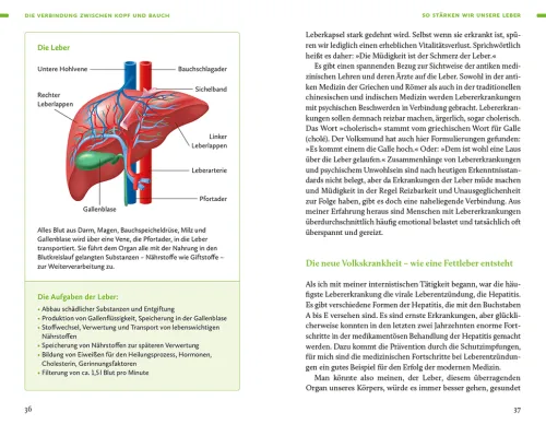 Ernährung. Meine Quintessenz*Insel Verlag GmbH Sale
