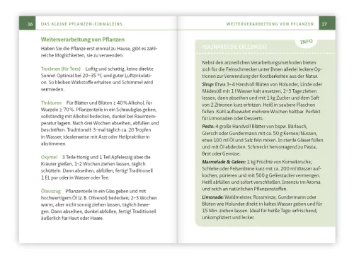 Essbare Heilkräuter und Wildpflanzen. Kompakt-Ratgeber*Mankau Verlag Outlet