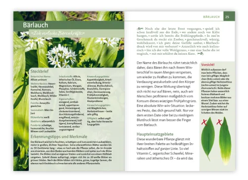 Essbare Heilkräuter und Wildpflanzen. Kompakt-Ratgeber*Mankau Verlag Outlet