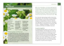 Essbare Heilkräuter und Wildpflanzen. Kompakt-Ratgeber*Mankau Verlag Outlet