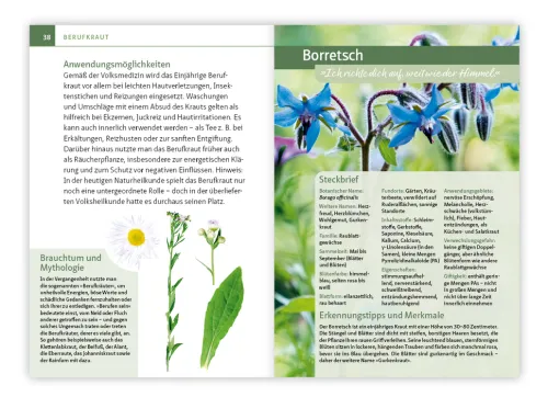 Essbare Heilkräuter und Wildpflanzen. Kompakt-Ratgeber*Mankau Verlag Outlet