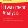 Springer-Verlag GmbH Mathematik-Etwas mehr Analysis
