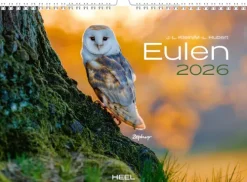 Heel Verlag GmbH Wandkalender*Eulen Kalender 2026