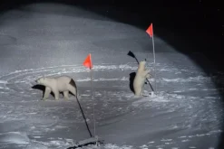 Prestel Verlag Bildbände*Expedition Arktis