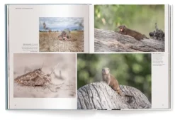 Fabian Kahl*teNeues Verlag ein Imprint des Gestalten Verlags Online