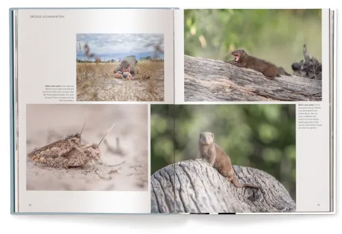 Fabian Kahl*teNeues Verlag ein Imprint des Gestalten Verlags Online