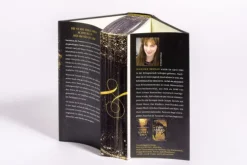 Heyne Verlag Historische Fantasy*Fairiegolden Town - Der König der Verdammten