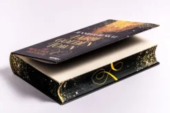 Heyne Verlag Historische Fantasy-Fairiegolden Town - Die Prinzessin der Diebe