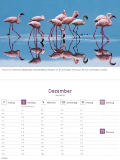 Kunth Verlag Wochenkalender*Farben der Erde - KUNTH Tischkalender 2026