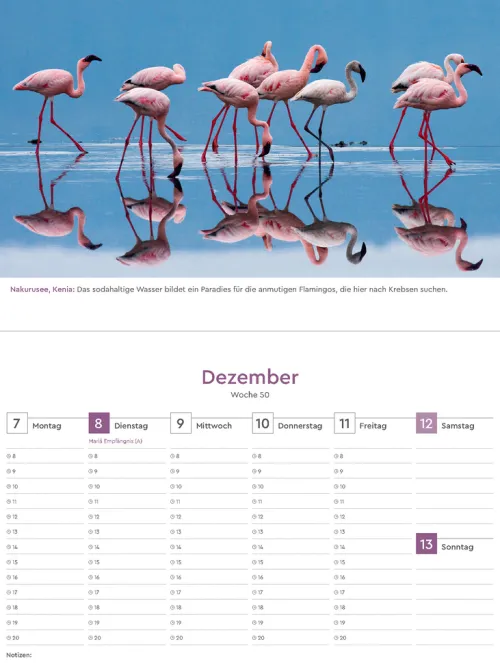 Kunth Verlag Wochenkalender*Farben der Erde - KUNTH Tischkalender 2026