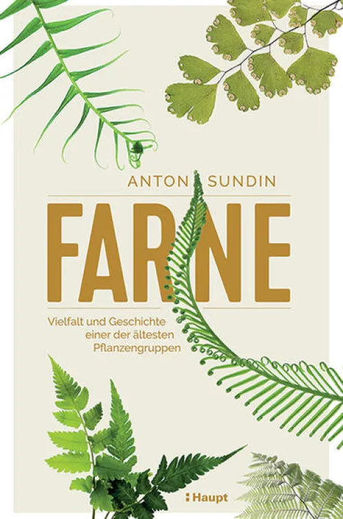 Haupt Verlag AG Biologie-Farne