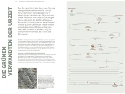 Haupt Verlag AG Biologie-Farne