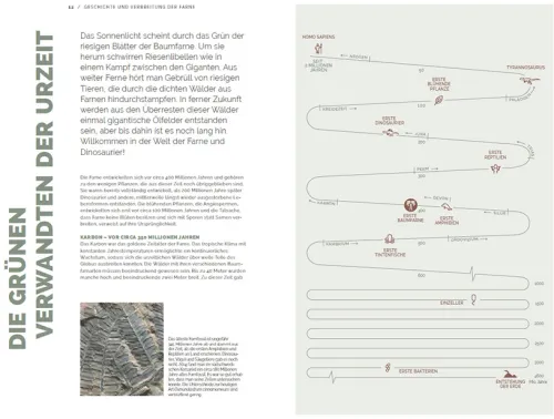 Haupt Verlag AG Biologie-Farne