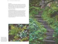 Haupt Verlag AG Biologie-Farne