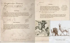 Ars Edition GmbH Nach Zielgruppen*Fast verschwundene Fabelwesen. Die sagenhafte Expedition des Konstantin O. Boldt