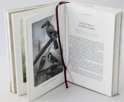 Federnlesen*Ehrenwirth Verlag Hot