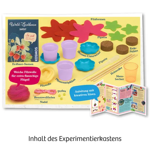 Feen-Erdbeeren*Franckh-Kosmos Outlet