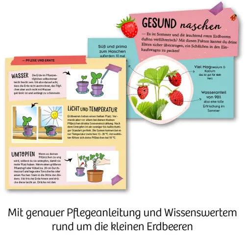 Feen-Erdbeeren*Franckh-Kosmos Outlet