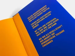 Brandstätter Verlag Gesellschaft*Feindbild Frau