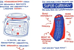 Ulmer Eugen Verlag Kochbücher Nach Zubereitung*Fermentieren - Magie im Glas