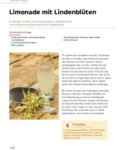 Heel Verlag GmbH Nachhaltigkeit*Fermentieren leicht gemacht: Hausgemachtes aus dem Glas