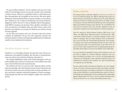 Bruckmann Verlag GmbH Reiseberichte*Fettnäpfchenführer Südafrika