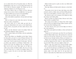 Flammensturm (Band 1) - Firebird*Loewe Verlag GmbH Hot