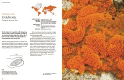 Haupt Verlag AG Biologie-Flechten