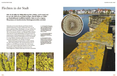 Haupt Verlag AG Biologie-Flechten