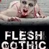Festa Verlag Erotische Romane*Flesh Gothic
