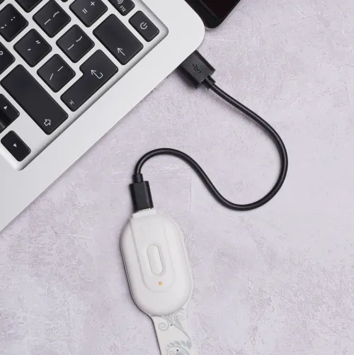 Bookchair Vertrieb Lesen & Geschichten*Flexilight RC (White Flowers) - wiederaufladbares Leselicht - 2 in 1 Leselampe & Lesezeichen - LED Leselicht - Geschenk für Leser, Buchliebhaber - Deutsche Ausgabe