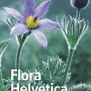 Haupt Verlag AG Biologie-Flora Helvetica - Illustrierte Flora der Schweiz