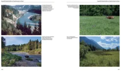 Flora von Bayern*Haupt Verlag AG Best