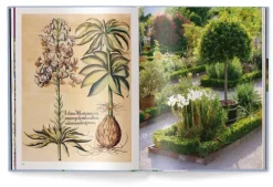 teNeues Verlag GmbH Architektur & Wohnen-Floramour: Lilien