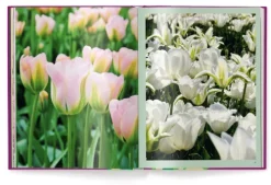 teNeues Verlag GmbH Architektur & Wohnen-Floramour: Tulpen