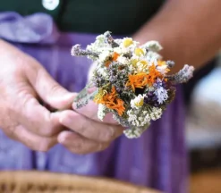 teNeues Verlag GmbH Architektur & Wohnen*Floramour: Wild Flowers