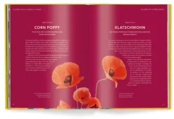 teNeues Verlag GmbH Architektur & Wohnen*Floramour: Wildblumen