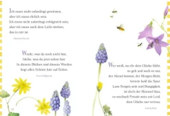 Coppenrath Glück & Wünsche*Folge deinem Herzen auf dem Weg zum Glück